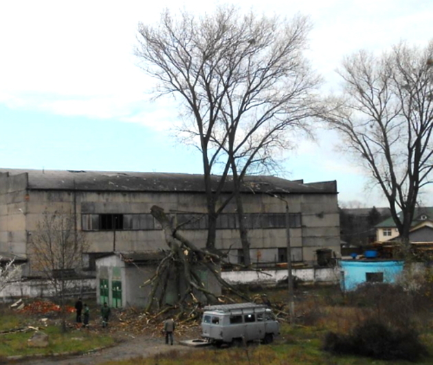 Плачевні наслідки природної стихії у Берегсазі (ФОТО)