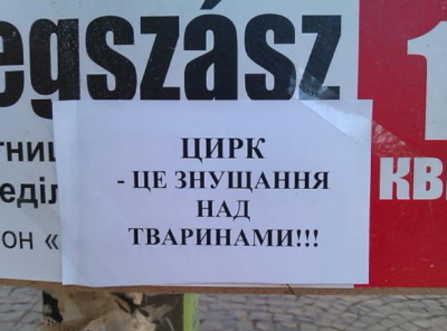 Цирк - це знущання над тваринами!»