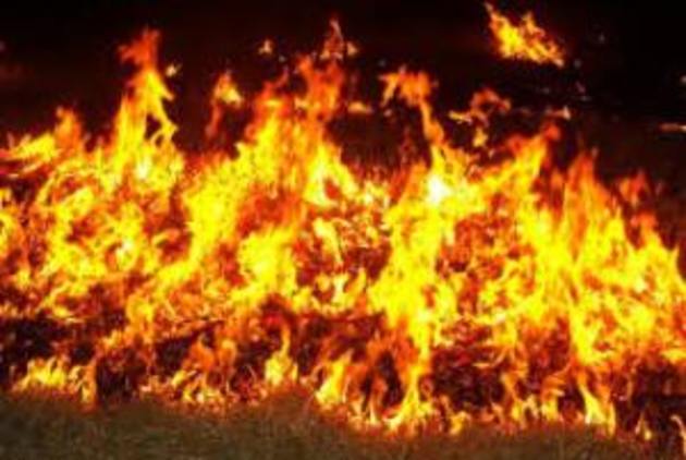 Протягом трьох днів на Закарпатті оголошено надзвичайно високий рівень пожежної небезпеки!
