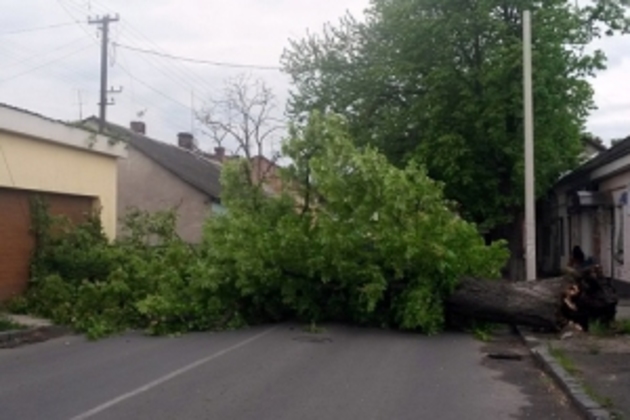 Негода наробила біди в ужгородській школі (ФОТО)