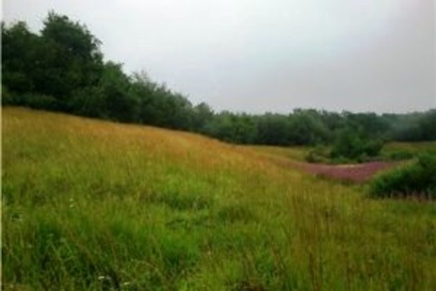 Погода на Закарпатті сьогодні, 7 травня