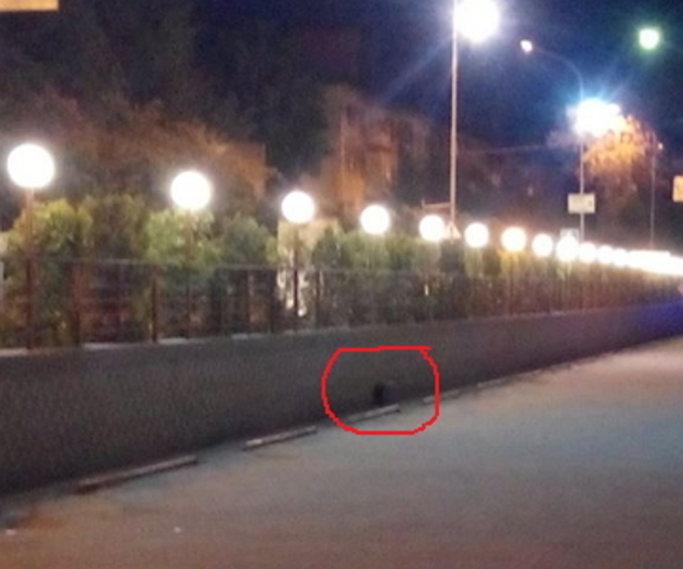Нічна тиша в обласному центрі ледве не вибухнула вогнем і смертями (ФОТО)