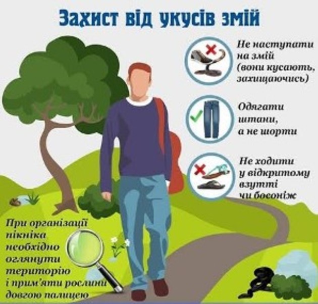 Зібралися у похід чи на пікнік у Карпати? Будьте обережні! 