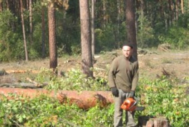 Ліс біля закарпатського санаторію рубали законно?
