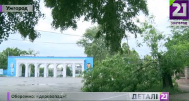 Чому зелений «захист» міста над Ужем падає від кожного пориву вітру? (ВІДЕО)
