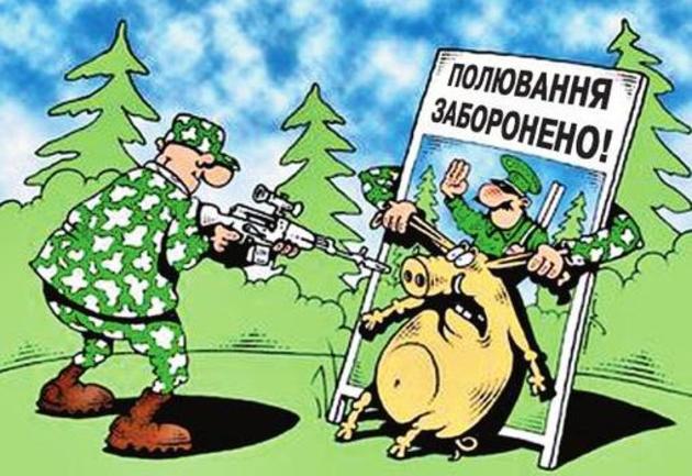Закарпатські браконьєри, начувайтеся!