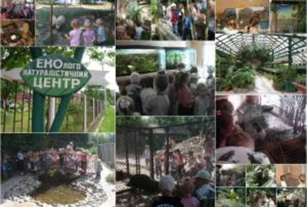 Мукачівський нардеп лише «користується» авторитетом виборців, але не захищає їх