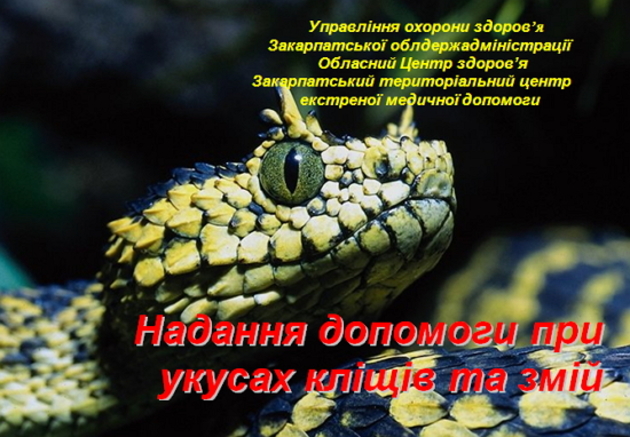 Протизміїною «отрутою» медики гірського краю забезпечені