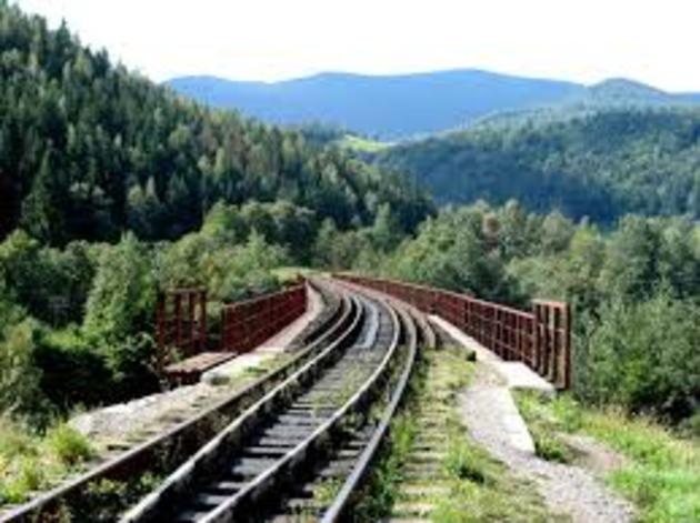 Великій залізничній катастрофі вдалося запобігти у Карпатах