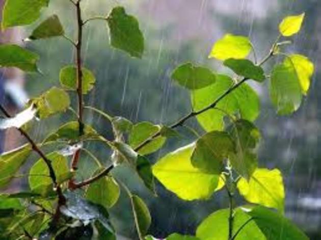 Під вечір ужгородці гулятимуть із зонтиками