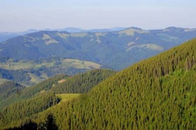 На Рахівщині фестиваль зі скайраннінгу мало не закінчився трагедією для столичної гості