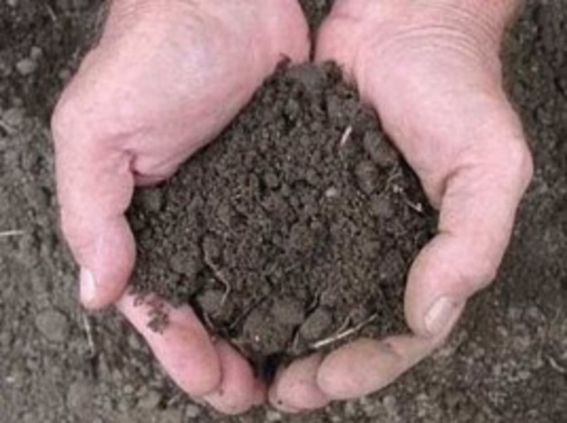 Про які особливості сплати земельного податку варто знати закарпатцям?