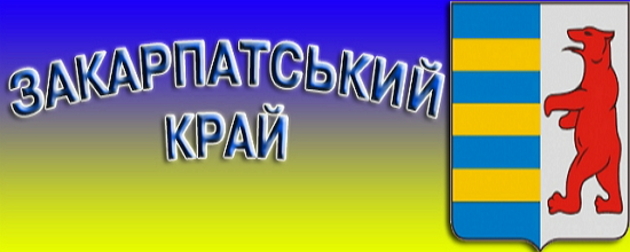 Ідея самоврядності та назва «Закарпатський край» знаходять у регіоні як прибічників, так і опонентів