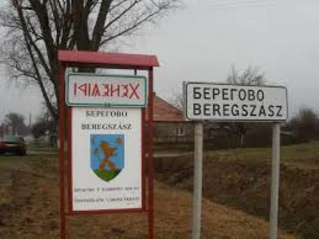 Хто «свіженький» на мера Берегова?