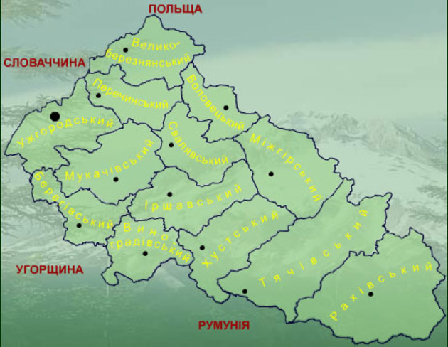 Разом із Губалем зі своїх посад пішли керівники всіх РДА Закарпаття