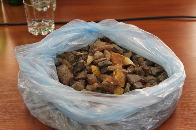 Після «ретельної перевірки» закарпатських митників словаки знайшли 130 кг бурштину!