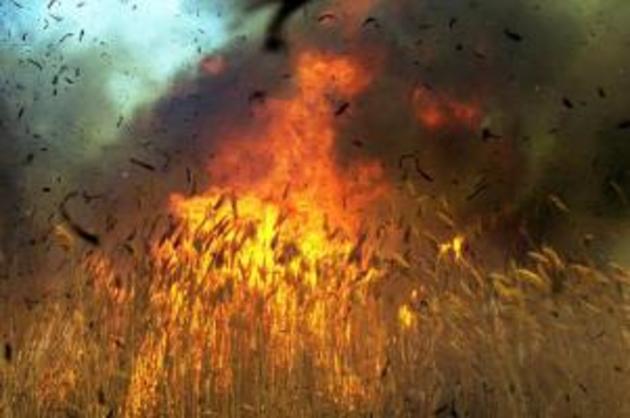 В області вчора гасили майже три десятки пожеж!