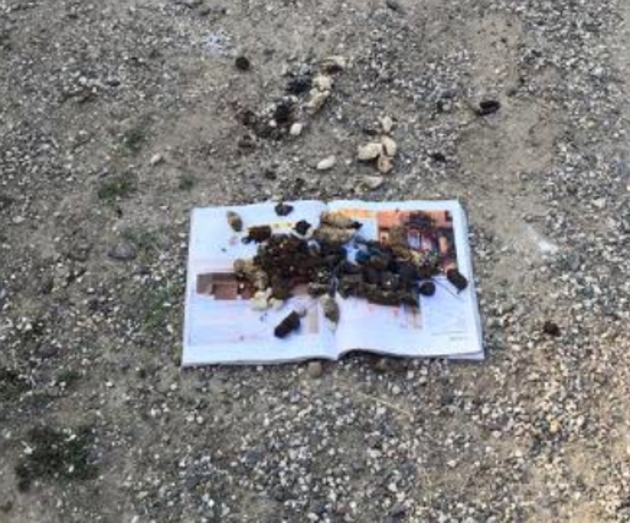 Городянин поважного віку веде власну «війну» з невихованими власниками собак! (ФОТО)
