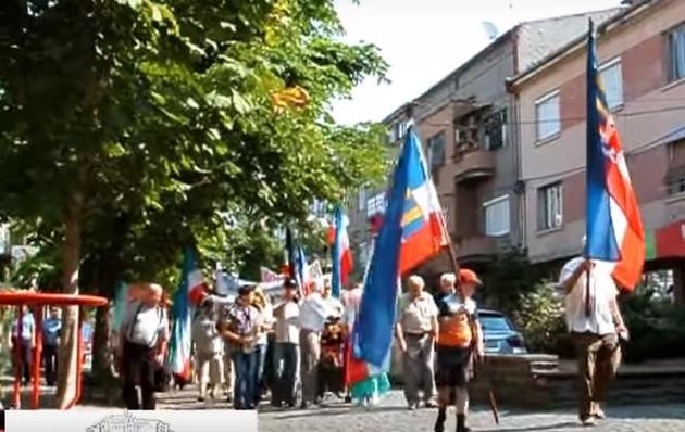 Русини під чужими прапорами вимагали самоврядності! (ВІДЕО)