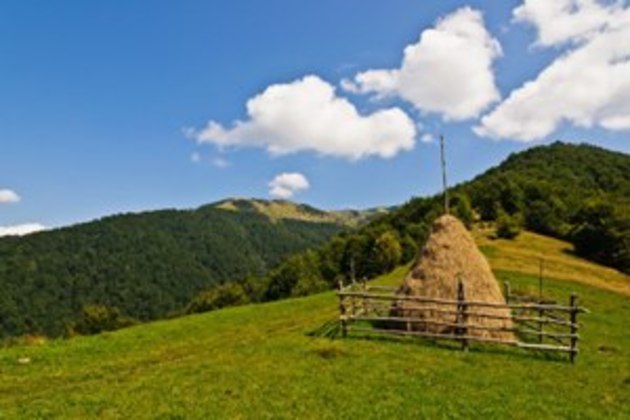 Погода на Закарпатті на вихідні, 15 і 16 серпня