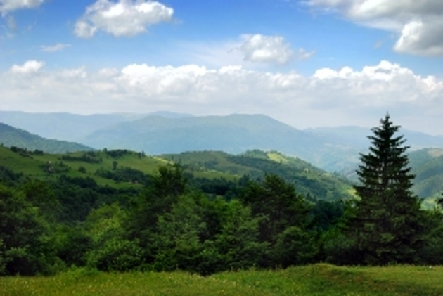 Погода в Ужгороді та на Закарпатті у вівторок, 18 серпня