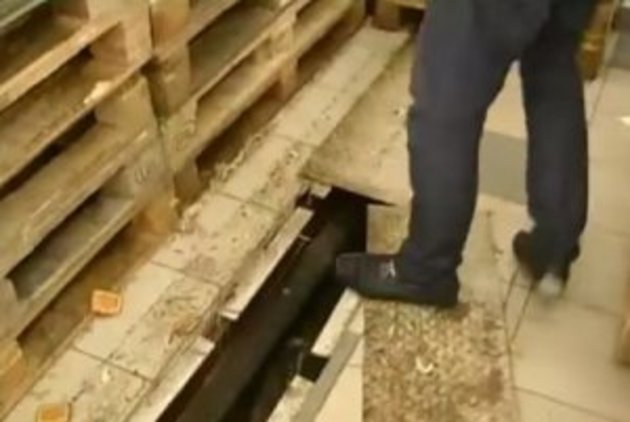 Не для людей із слабкими нервами: в ужгородському супермаркеті - просто щурячий розсадник  (ВІДЕО) 