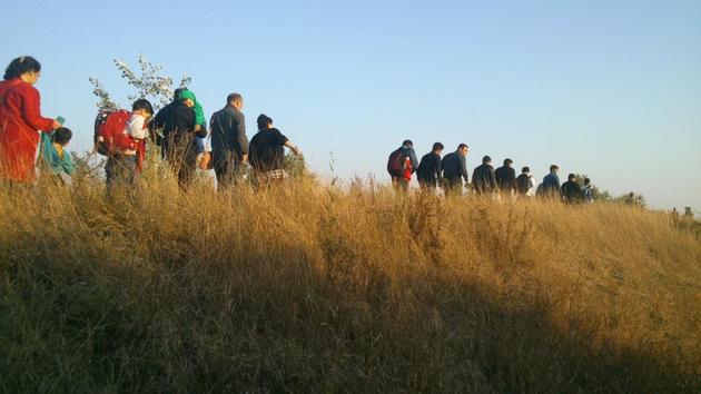 Кілька груп мандрівників затримали на кордоні з державою Святого Іштвана