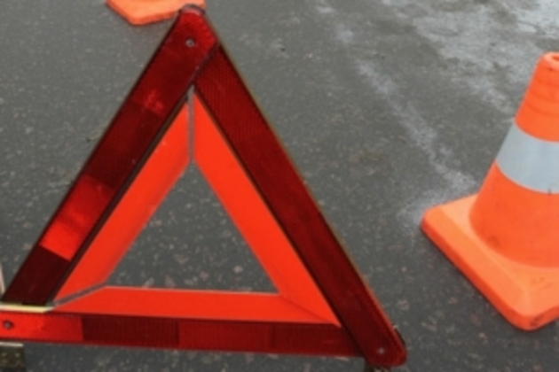 На Берегівщині - смертельна ДТП: під колеса авто потрапили жінка та дитина
