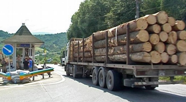 Замовники масових лісових рубок у Карпатах з «високих кабінетів» залишаються безкарними! (ВІДЕО)