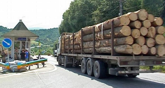 Лісоматеріали зі Срібної Землі вивозять всі кому не лінь!