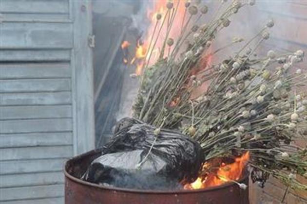 Наркотичне зілля пішло «у небо» разом із вогнем! (ФОТО)