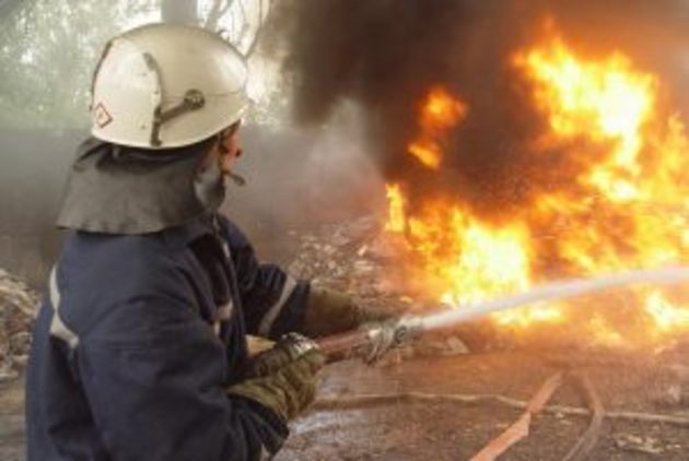 Вогонь знищив ущент і надвірну споруду, і тонну сіна (ФОТО)