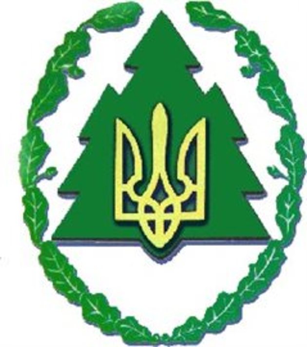 «Лісові» кадрові перестановки відбулися у переддень лісового професійного свята