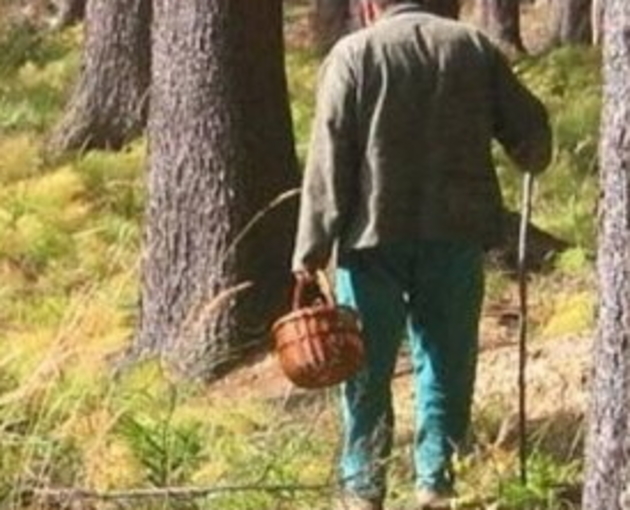 Заблукалого у гірських лісах міжгірця відшукали рятувальники!