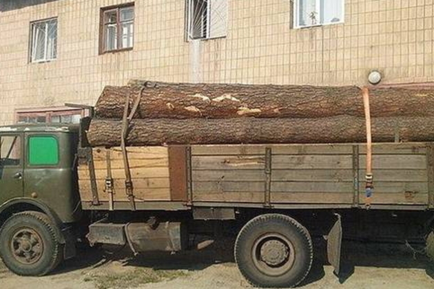 На перевалі стражі доріг зупинили вантажівку з «лівою» деревиною (ФОТО)