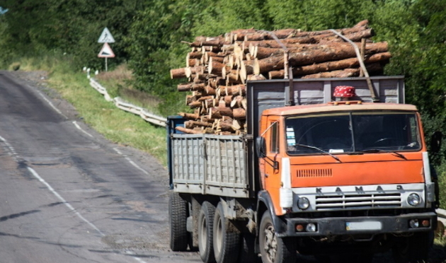 Зрізані дуби вивозилися незаконно - без жодних документів!