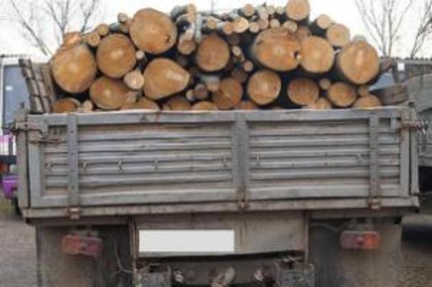 На Тячівщині затримали вантажівку з лівою деревиною