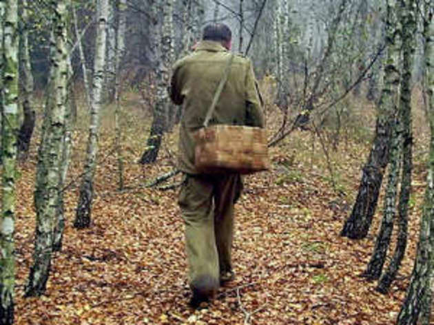 Лісові дари подеколи заводять у такі нетрі, звідки важко вибратися!