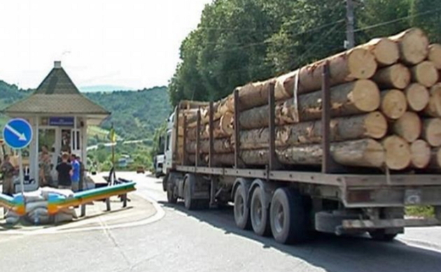 «ГАЗ» і «ЗІЛ» були завантажені карпатським лісом