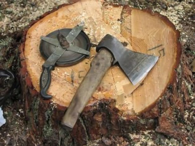 Лісове господарство на Воловеччині відшкодує селянам збитки, завдані самовільною рубкою дерев