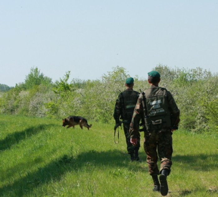 Сирійця без документів затримали у звичайному рейсовому автобусі!
