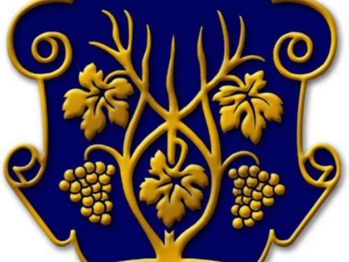 Яким буде політичний склад Ужгородської міської ради?