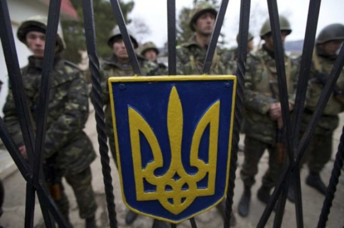Троє хустян вирішили, що кримінальна відповідальність краще за службу у війську