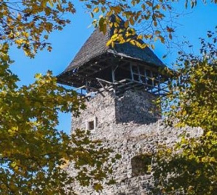 Як врятувати одну з родзинок Підкарпатського краю? (ФОТО)