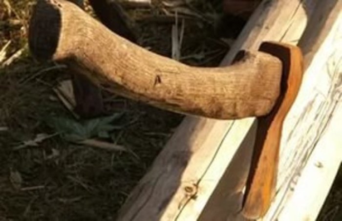 Чоловік пішов по дрова і не повернувся...