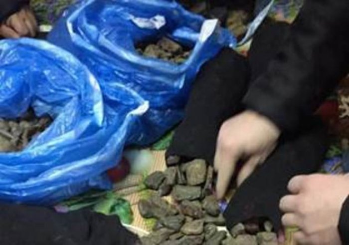 СБУ розкриває деталі резонансного затримання на хабарі закарпатського митного начальника (ФОТО)