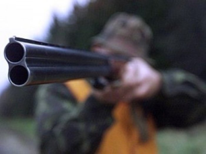 Любителі диких фазанів на Закарпатті не переводяться!