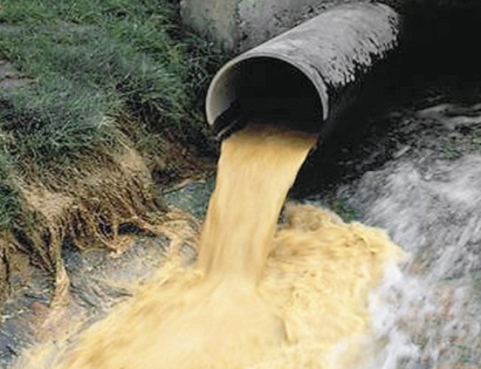 Як у Карпатах збираються покращувати якість водних ресурсів?