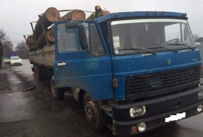 «Дрова» на повірку виявилися ...величезними колодами! (ФОТО)