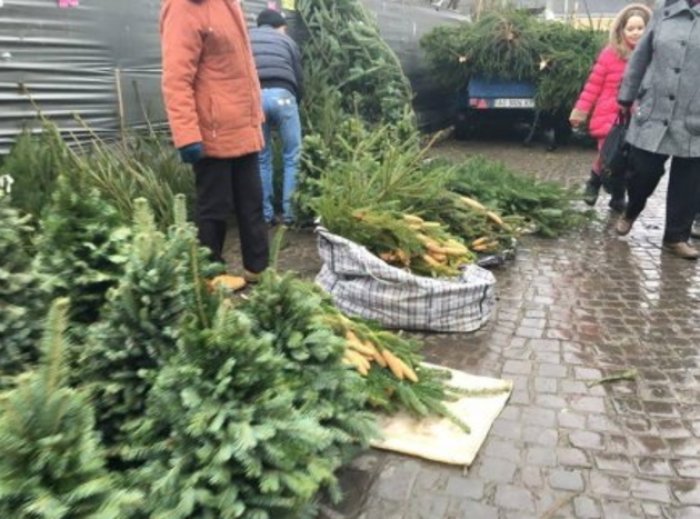Нахаби-продавці поліції не бояться - пропонують ялинки прямо на трасах!